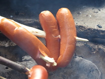 Perhekoko makkaratikusta