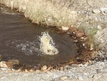 Juomavetemme ilmausta