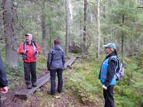 Syksyn urakka, uusia pitkospuita  pari tämän levyistä rinnakkain...