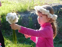 Niittyvilla kimppu mummille.