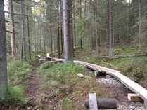 valmista alkaa tulla