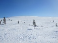 Puolessa matkassa ollaan.