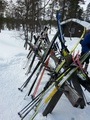 Rönkölammella: Parkkipaikat vähissä