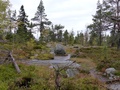 Paha-Kolin käräjäpaikka