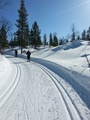 Ladut ovat loistavia